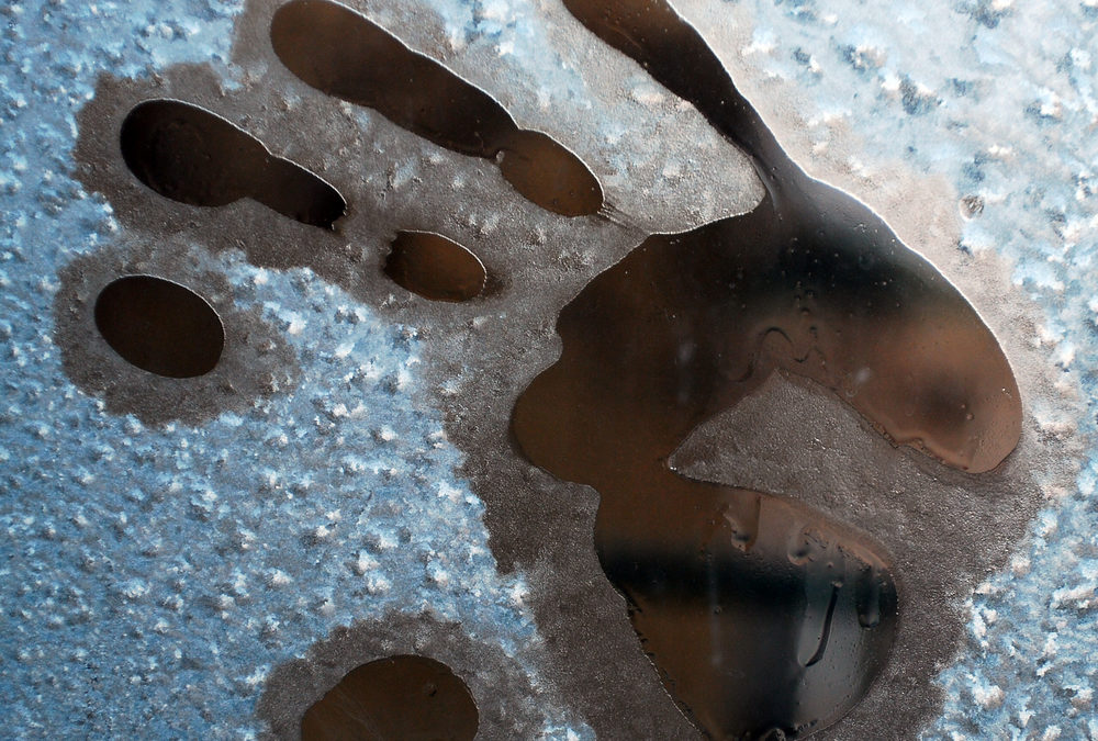 4 Factors That Affect Indoor Air Quality for Your Family