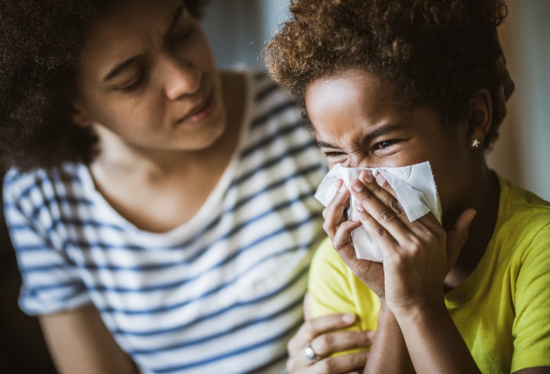How Can Indoor Air Quality Impact Spring Allergies In Sebastian, FL?