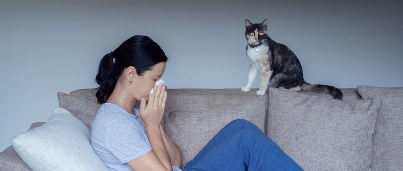 Are My Pets Ruining My Indoor Air Quality?